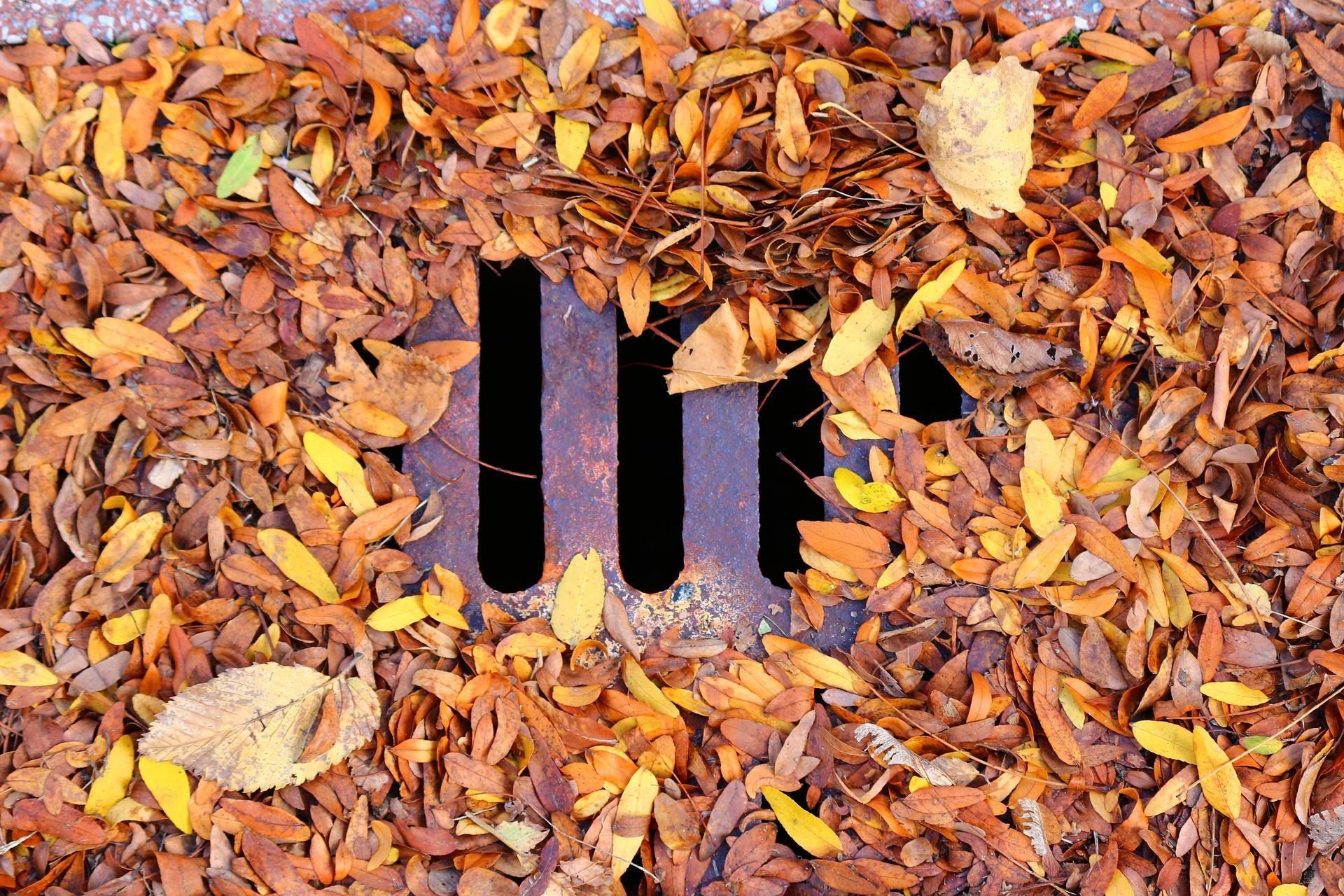 Rapid Response Drain Services 